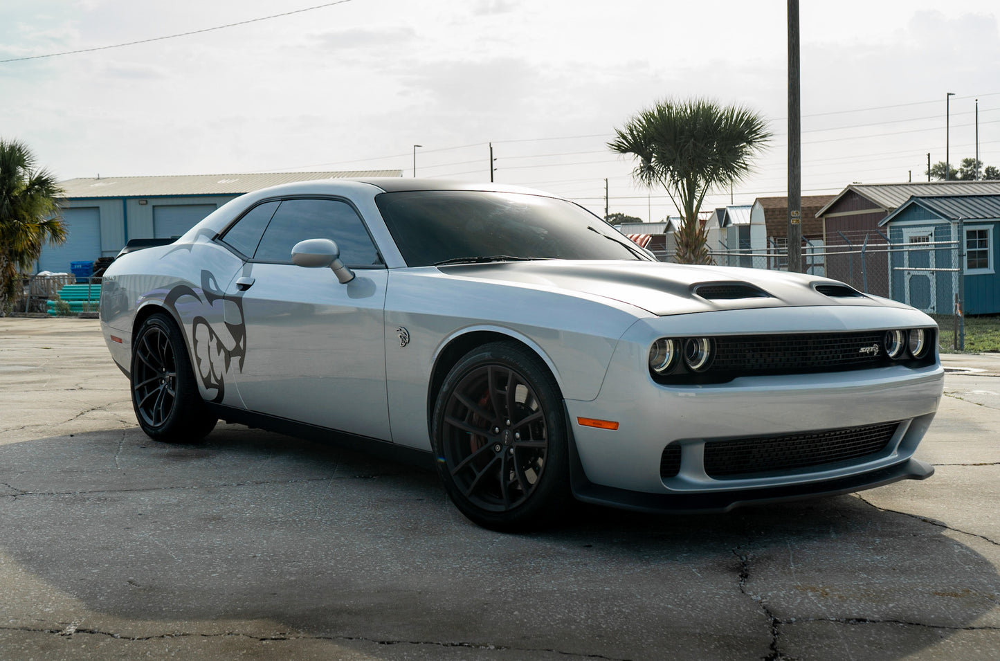 HUGE Hellcat Dodge Decal Graphic Vinyl CHARGER MOPAR SRT LOGO HEMI 392 hell cat